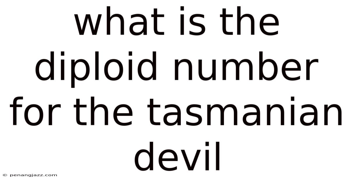 What Is The Diploid Number For The Tasmanian Devil