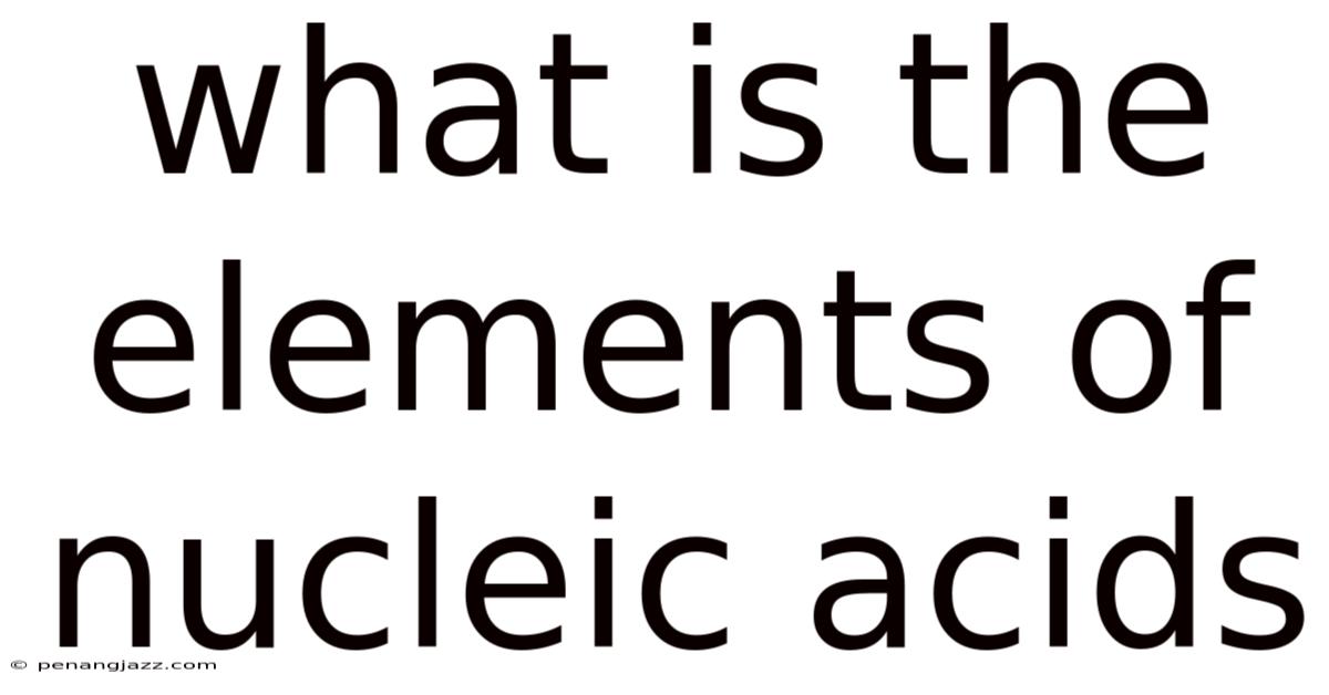 What Is The Elements Of Nucleic Acids