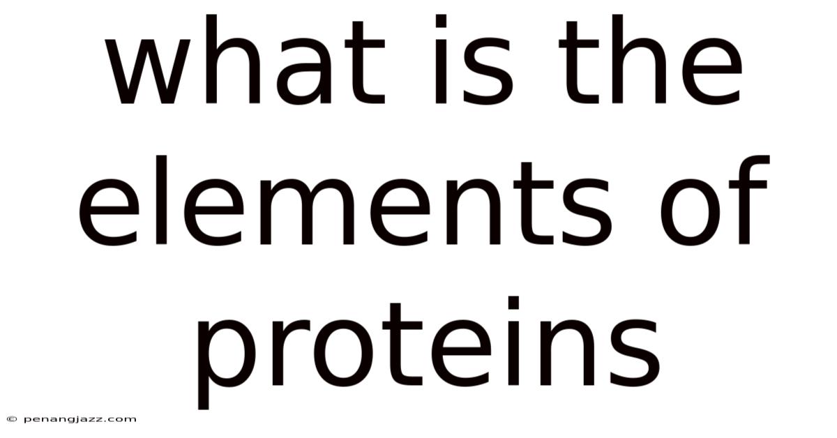 What Is The Elements Of Proteins