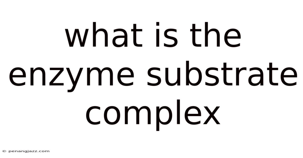 What Is The Enzyme Substrate Complex