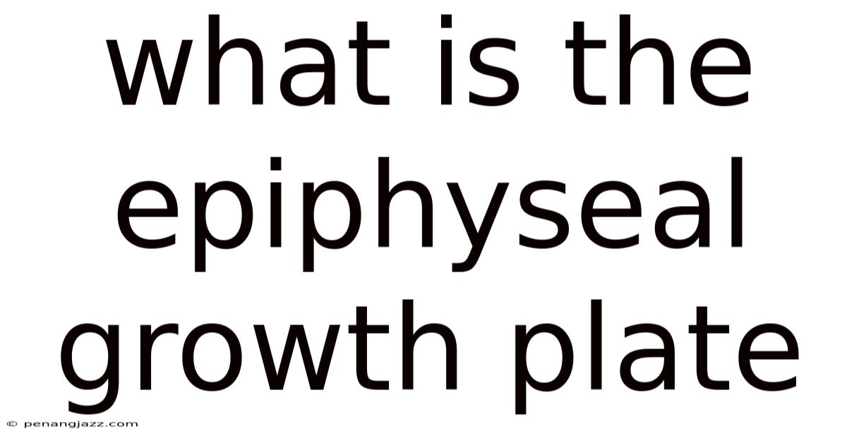 What Is The Epiphyseal Growth Plate