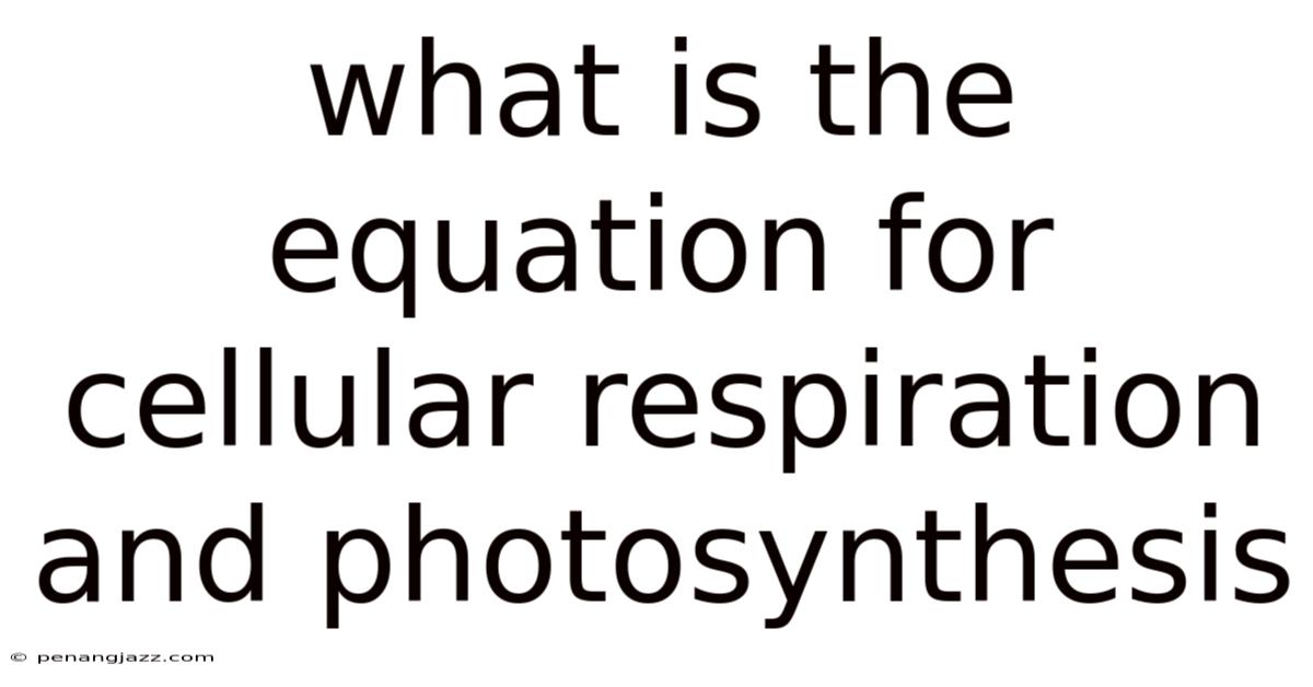 What Is The Equation For Cellular Respiration And Photosynthesis