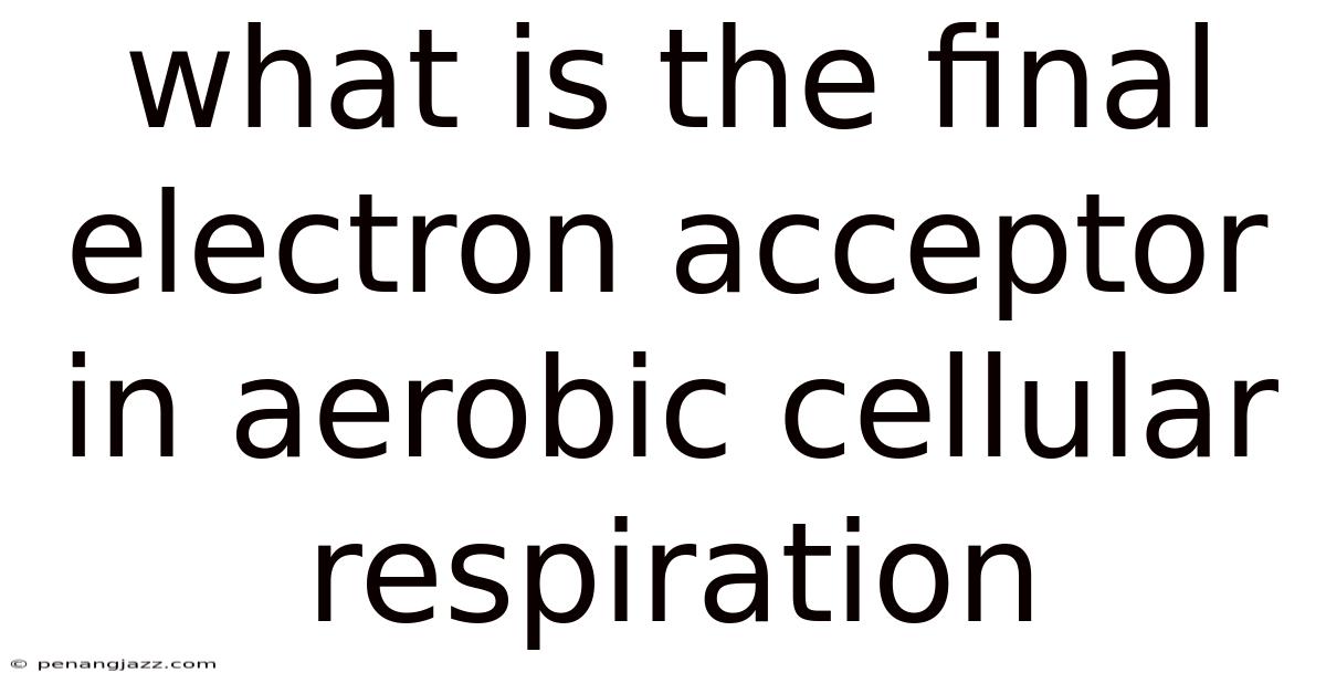 What Is The Final Electron Acceptor In Aerobic Cellular Respiration