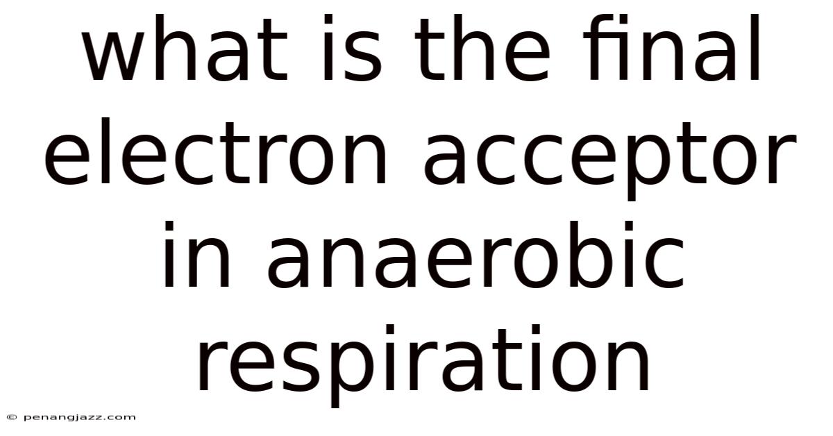 What Is The Final Electron Acceptor In Anaerobic Respiration