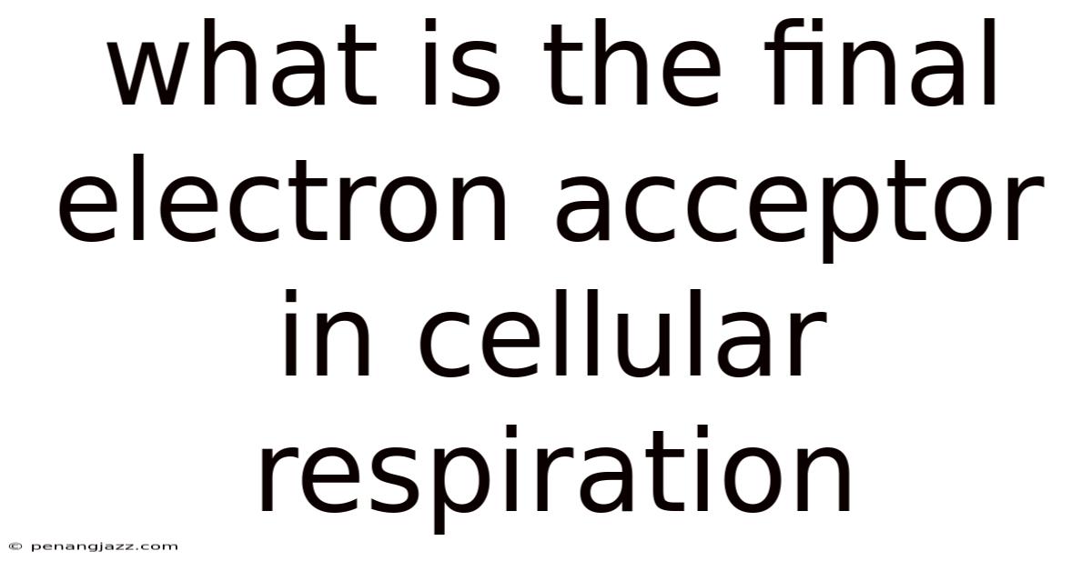 What Is The Final Electron Acceptor In Cellular Respiration