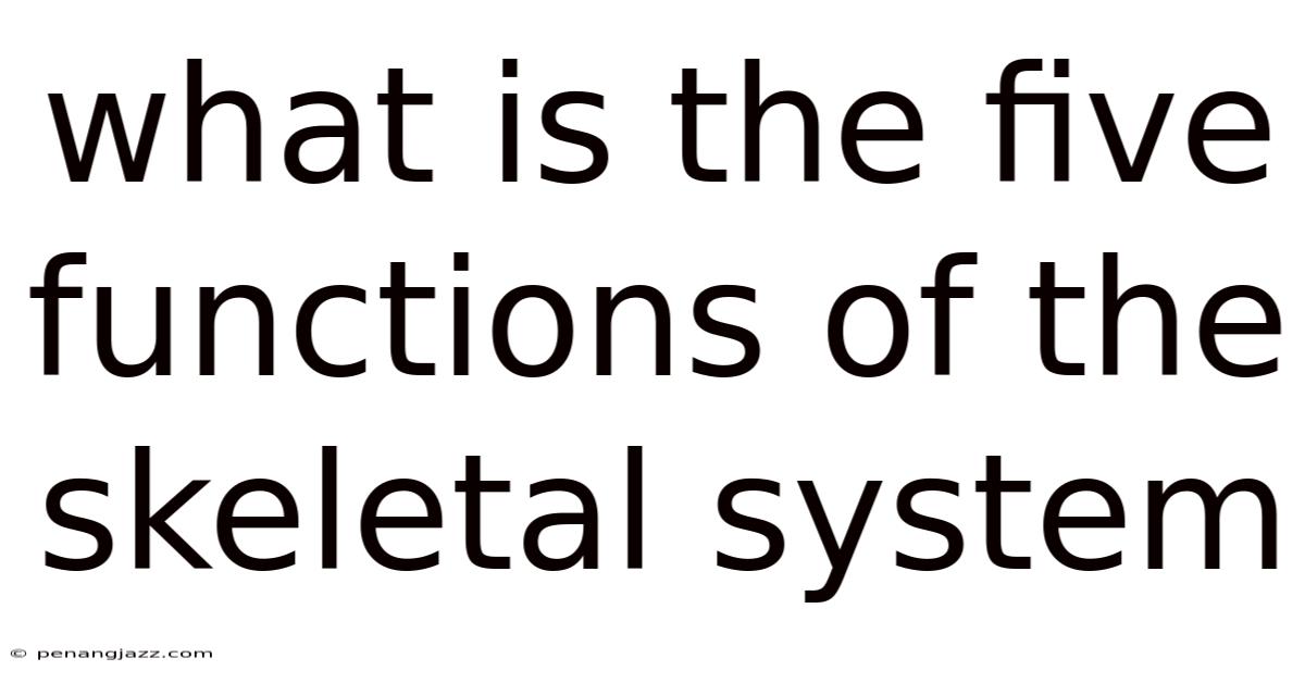 What Is The Five Functions Of The Skeletal System
