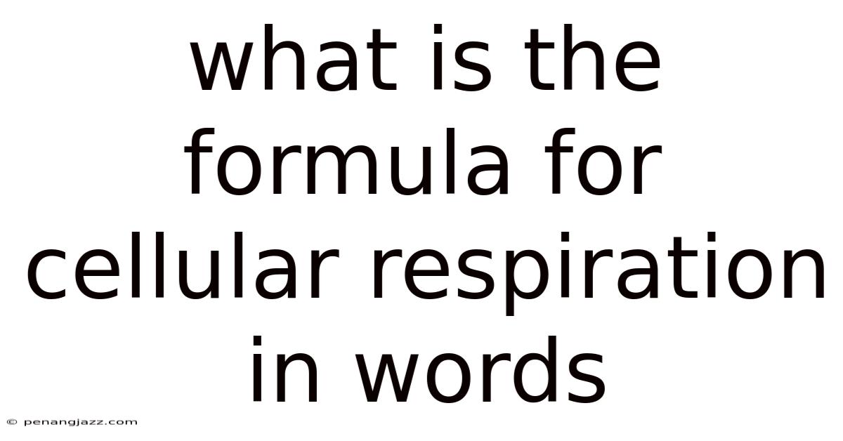 What Is The Formula For Cellular Respiration In Words