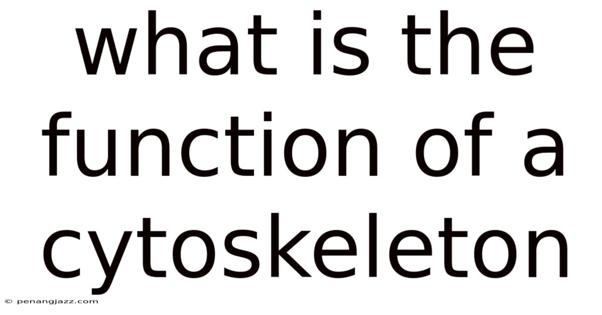 What Is The Function Of A Cytoskeleton