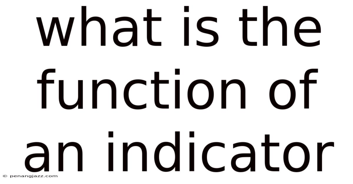 What Is The Function Of An Indicator