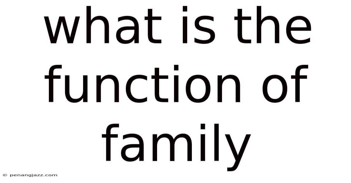What Is The Function Of Family