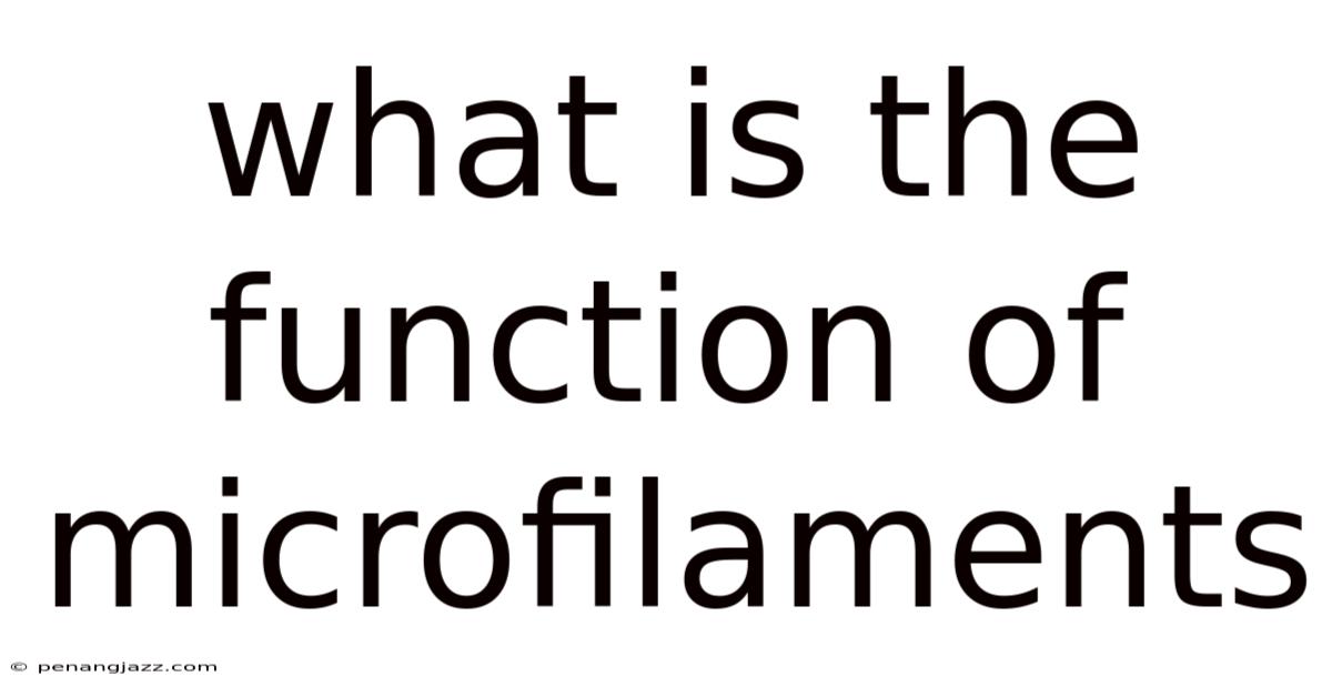 What Is The Function Of Microfilaments