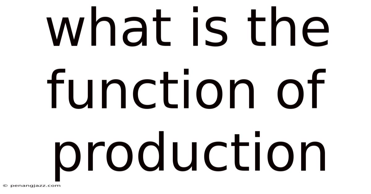 What Is The Function Of Production
