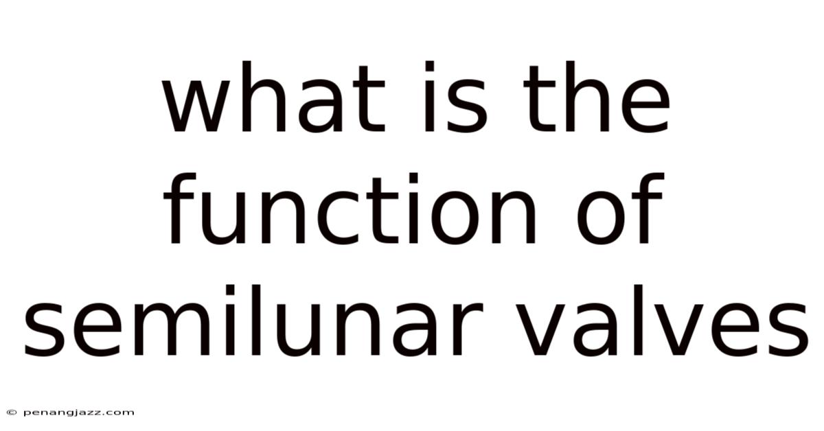 What Is The Function Of Semilunar Valves