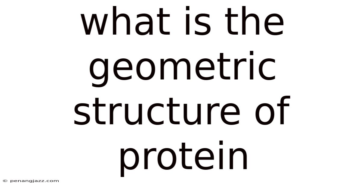 What Is The Geometric Structure Of Protein