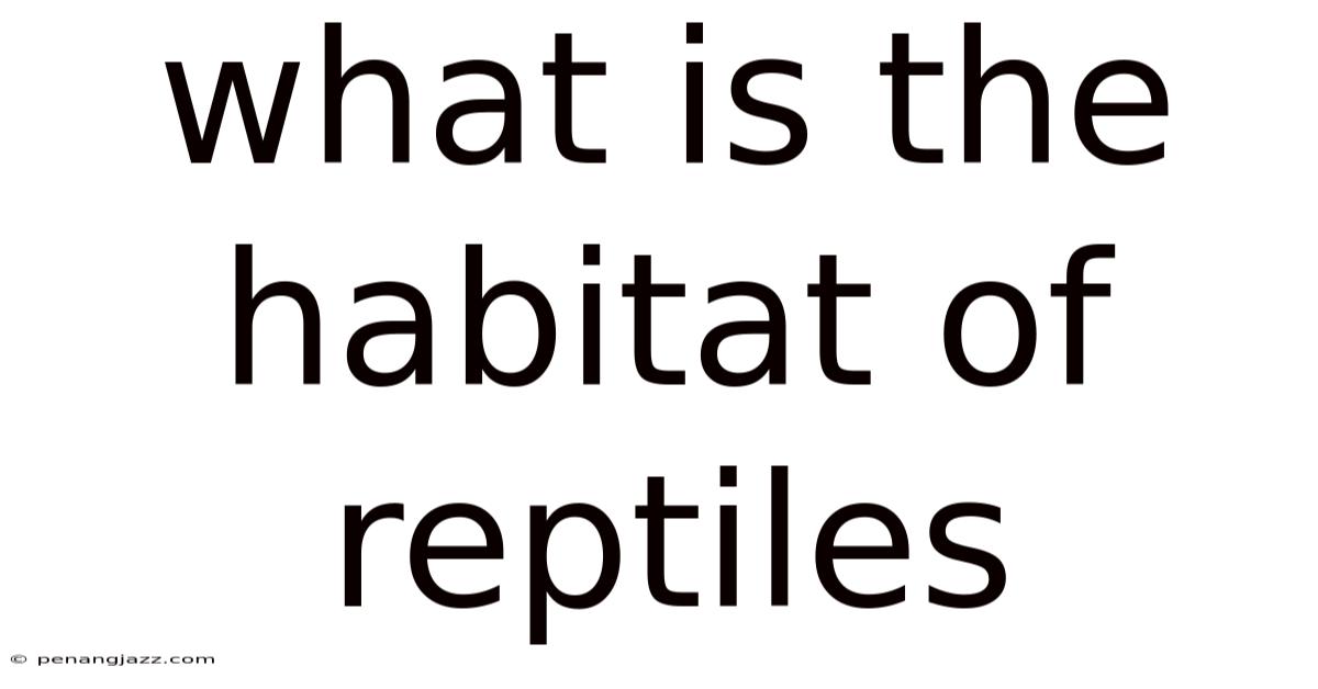 What Is The Habitat Of Reptiles