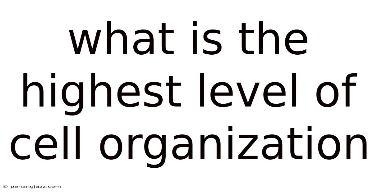 What Is The Highest Level Of Cell Organization