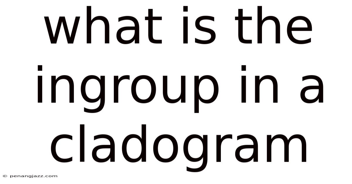 What Is The Ingroup In A Cladogram