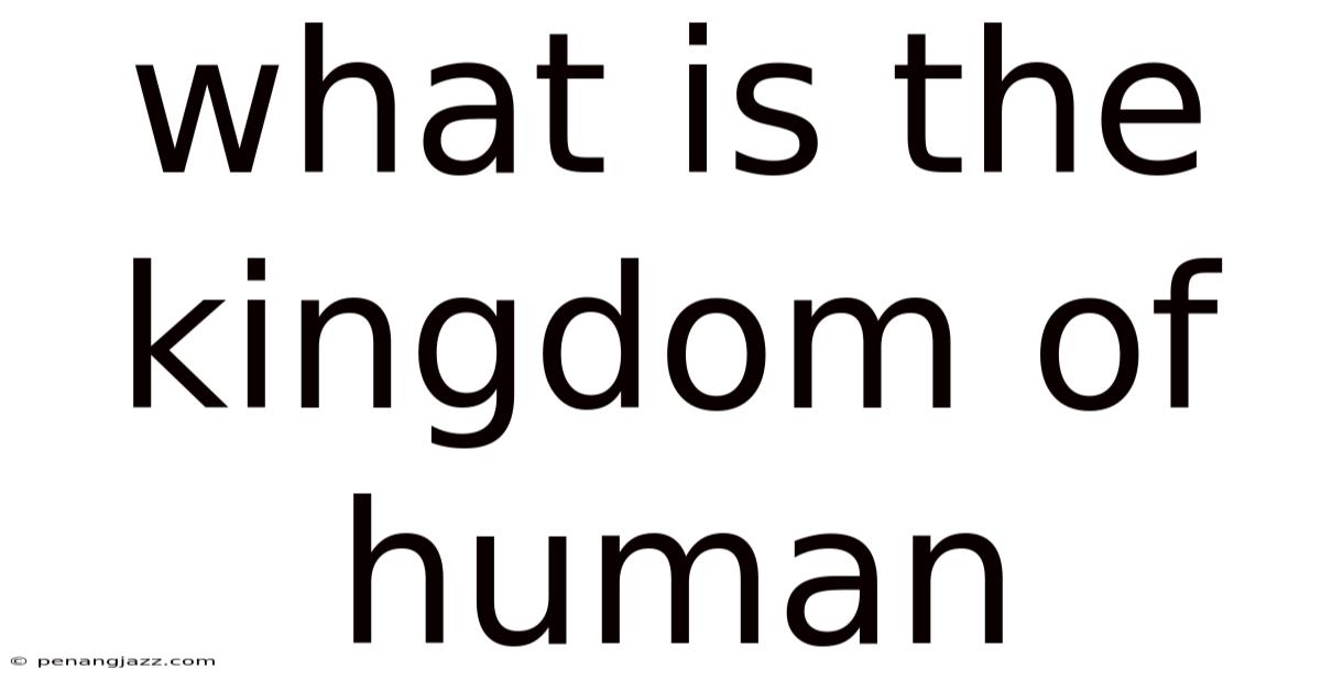 What Is The Kingdom Of Human