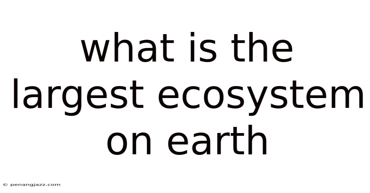 What Is The Largest Ecosystem On Earth