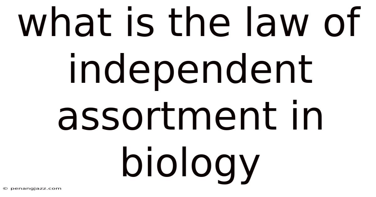 What Is The Law Of Independent Assortment In Biology