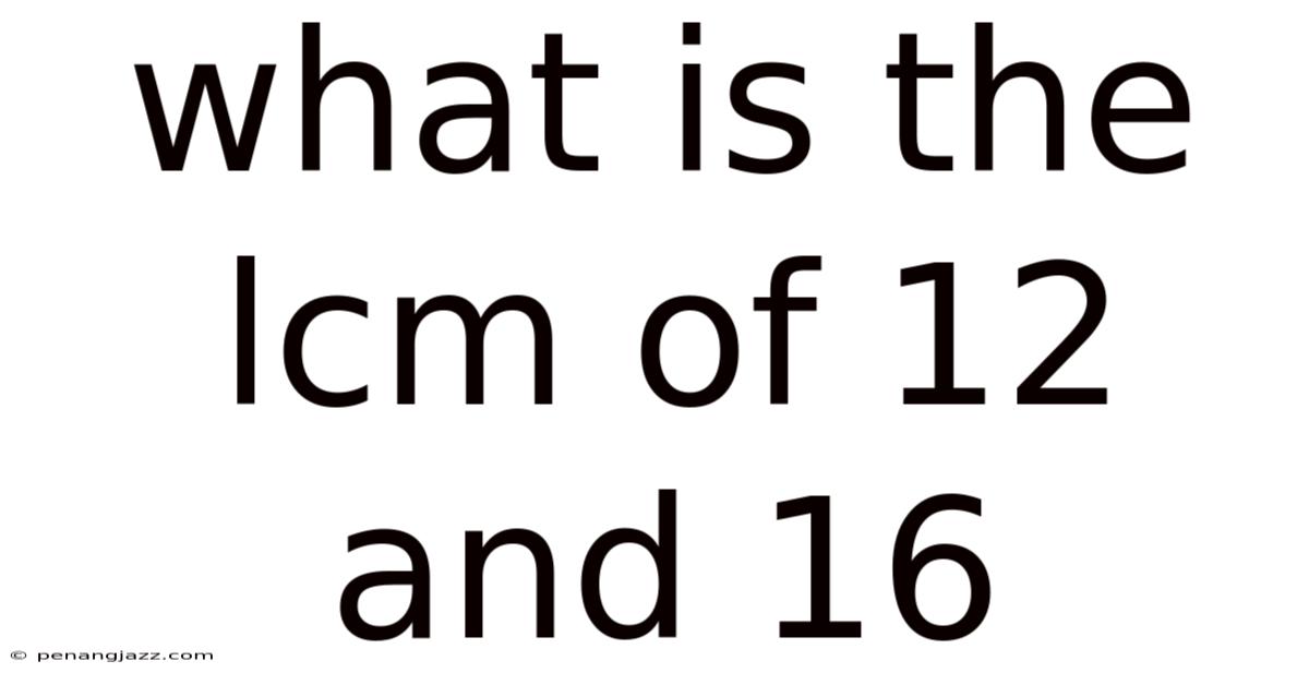 What Is The Lcm Of 12 And 16