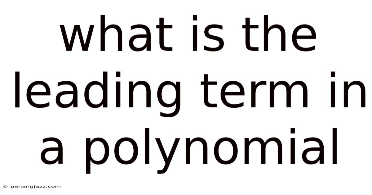 What Is The Leading Term In A Polynomial