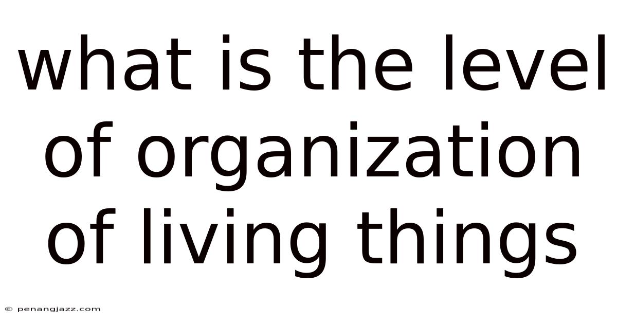 What Is The Level Of Organization Of Living Things