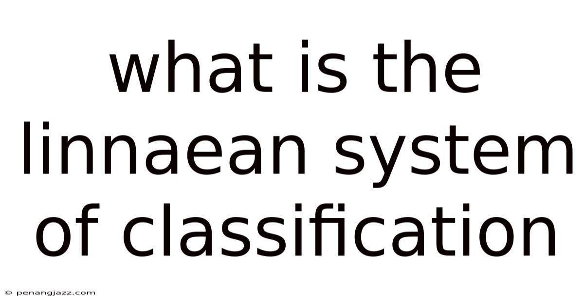 What Is The Linnaean System Of Classification