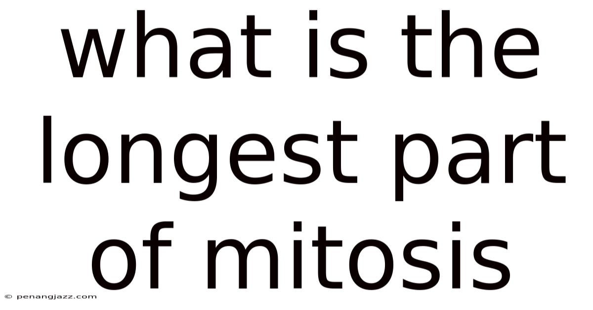 What Is The Longest Part Of Mitosis