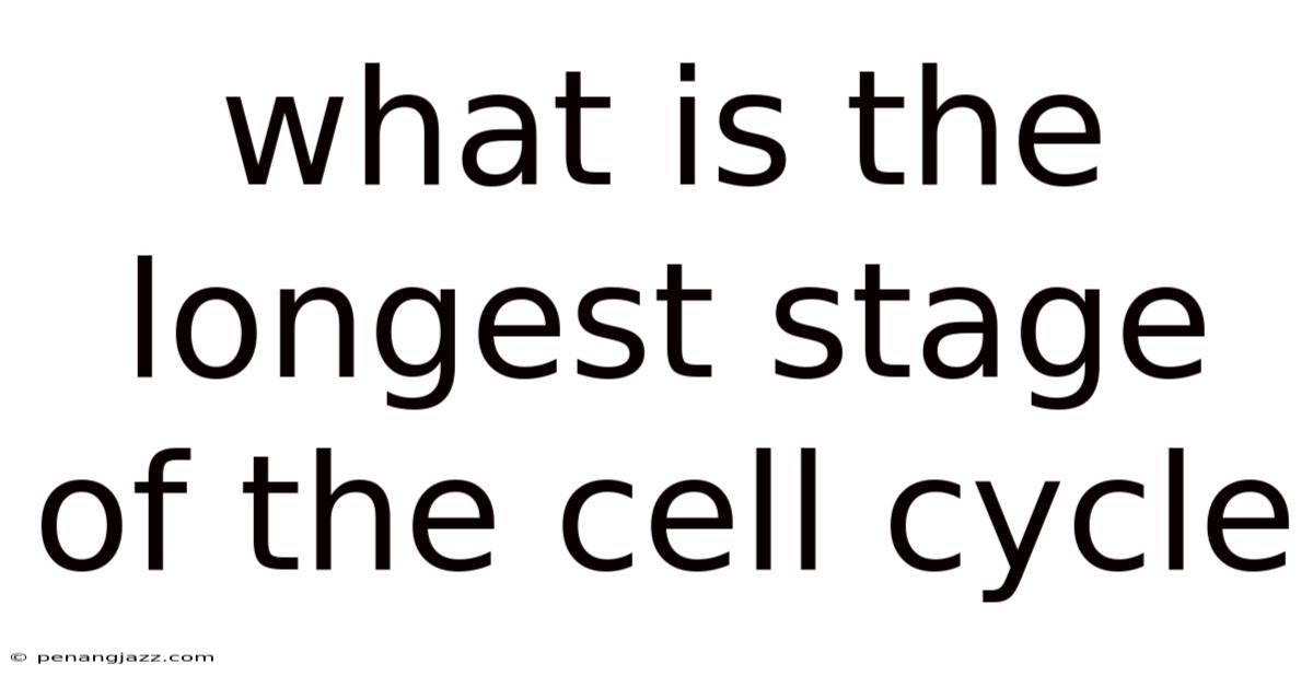 What Is The Longest Stage Of The Cell Cycle