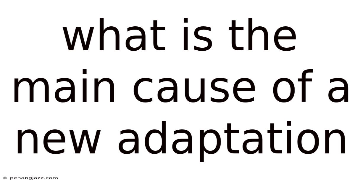 What Is The Main Cause Of A New Adaptation