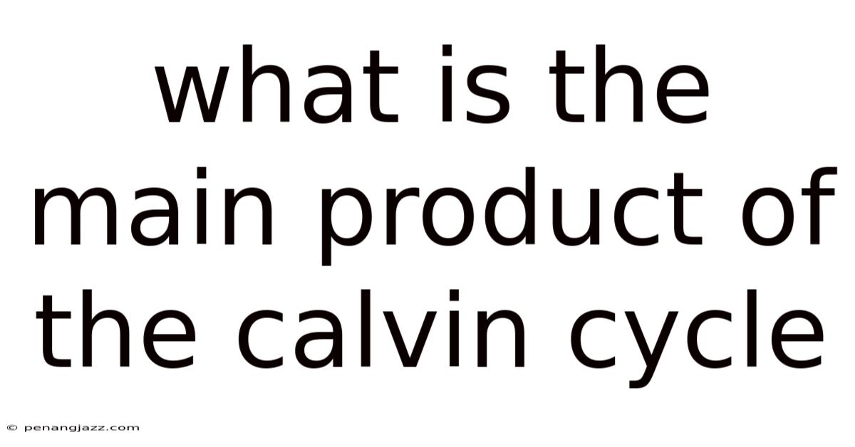 What Is The Main Product Of The Calvin Cycle