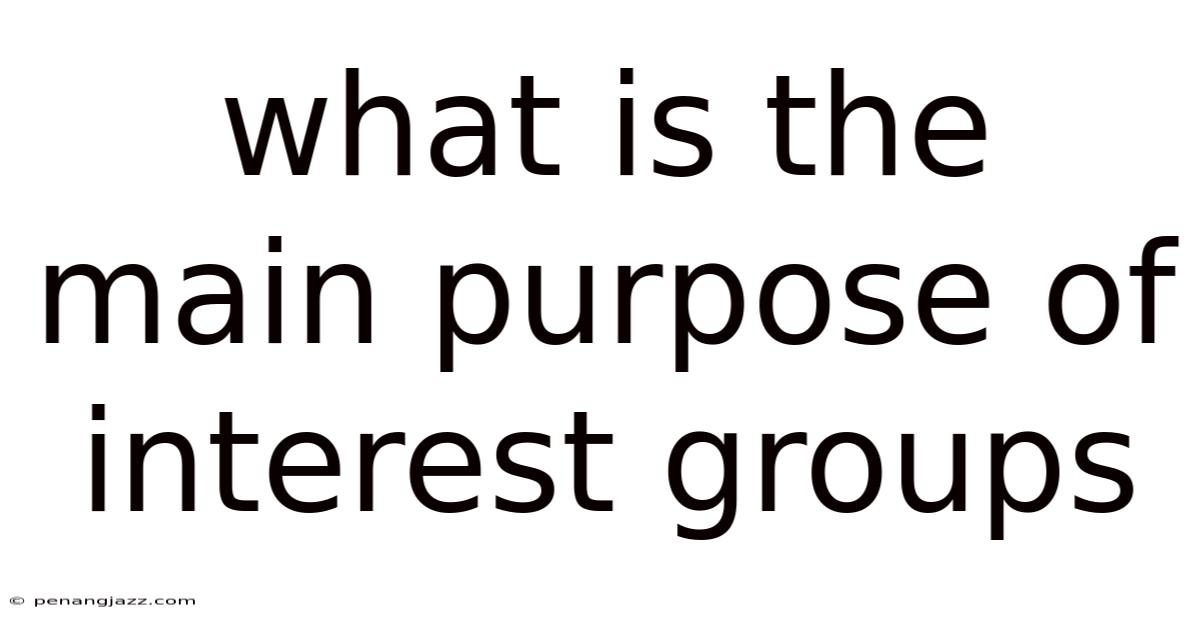 What Is The Main Purpose Of Interest Groups
