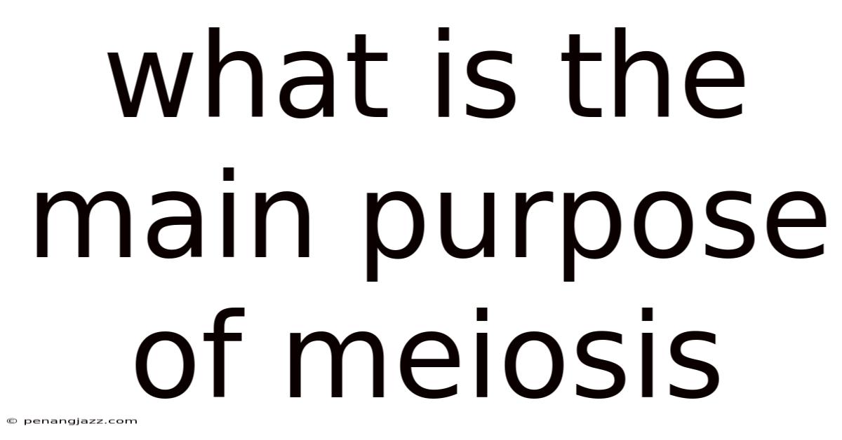 What Is The Main Purpose Of Meiosis