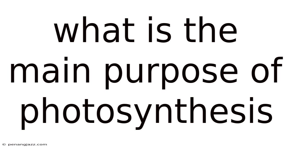What Is The Main Purpose Of Photosynthesis