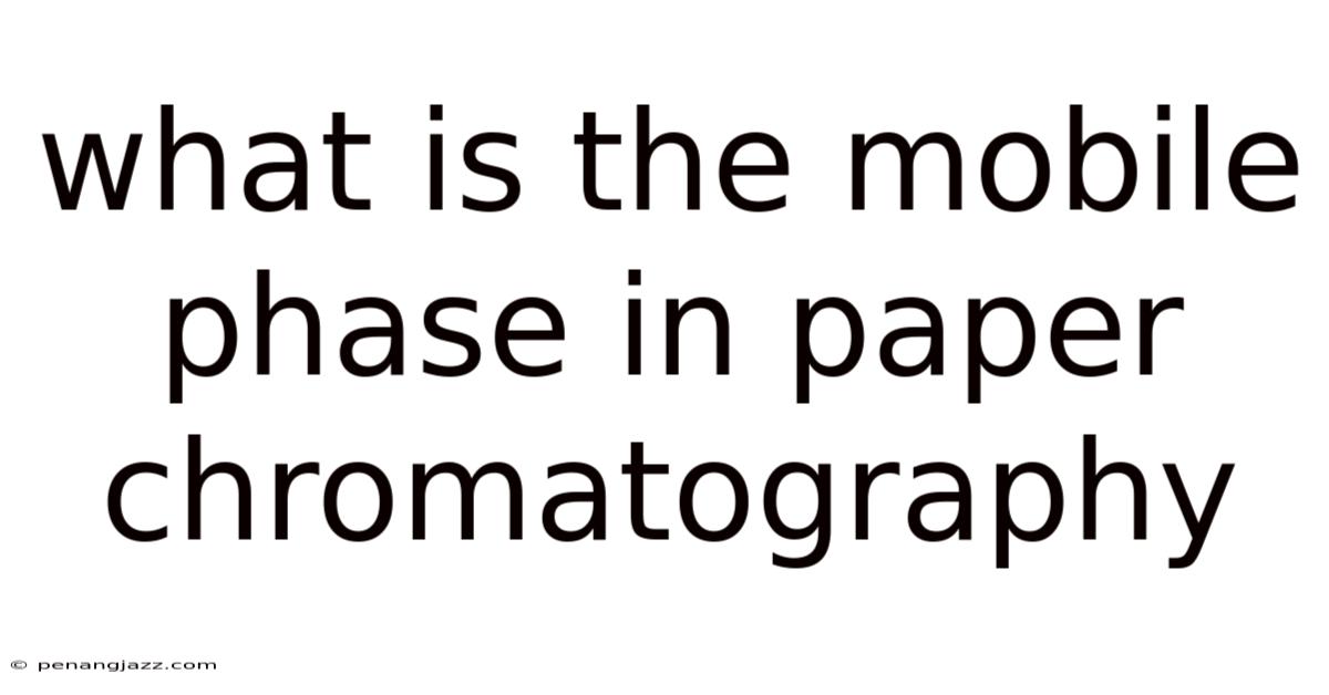 What Is The Mobile Phase In Paper Chromatography