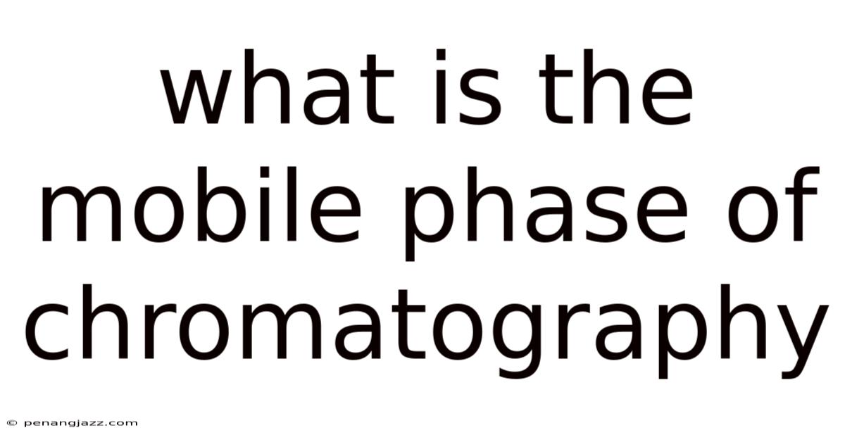 What Is The Mobile Phase Of Chromatography