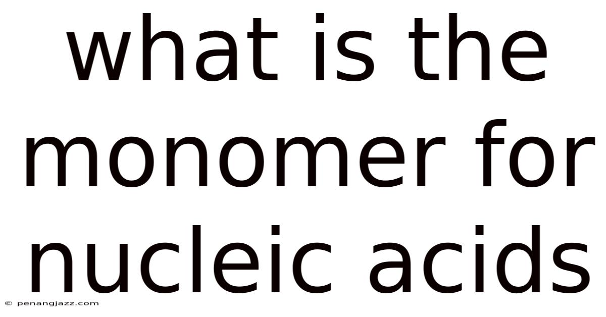 What Is The Monomer For Nucleic Acids