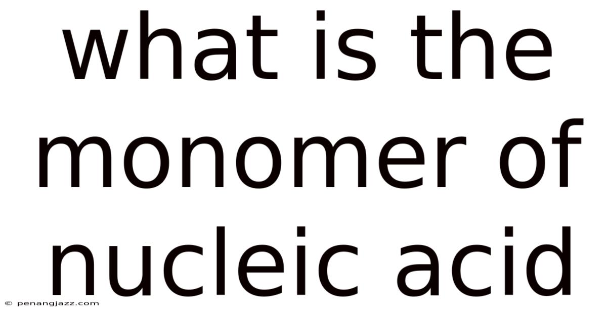 What Is The Monomer Of Nucleic Acid