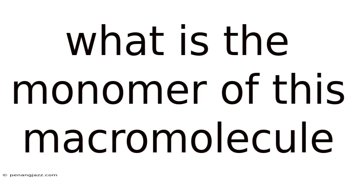 What Is The Monomer Of This Macromolecule