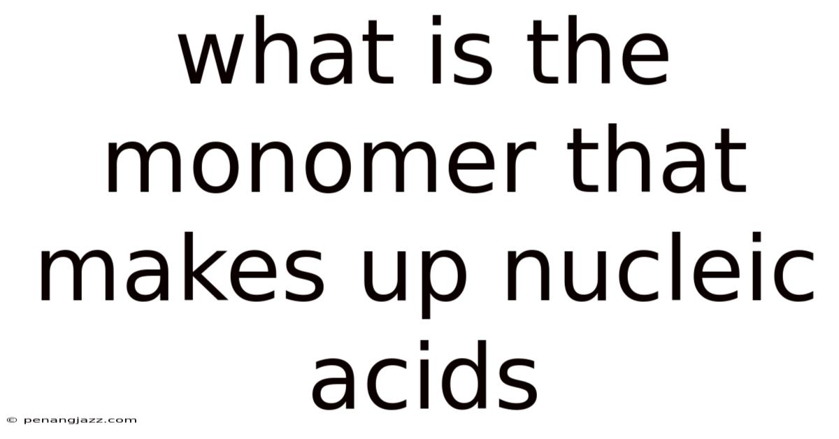 What Is The Monomer That Makes Up Nucleic Acids