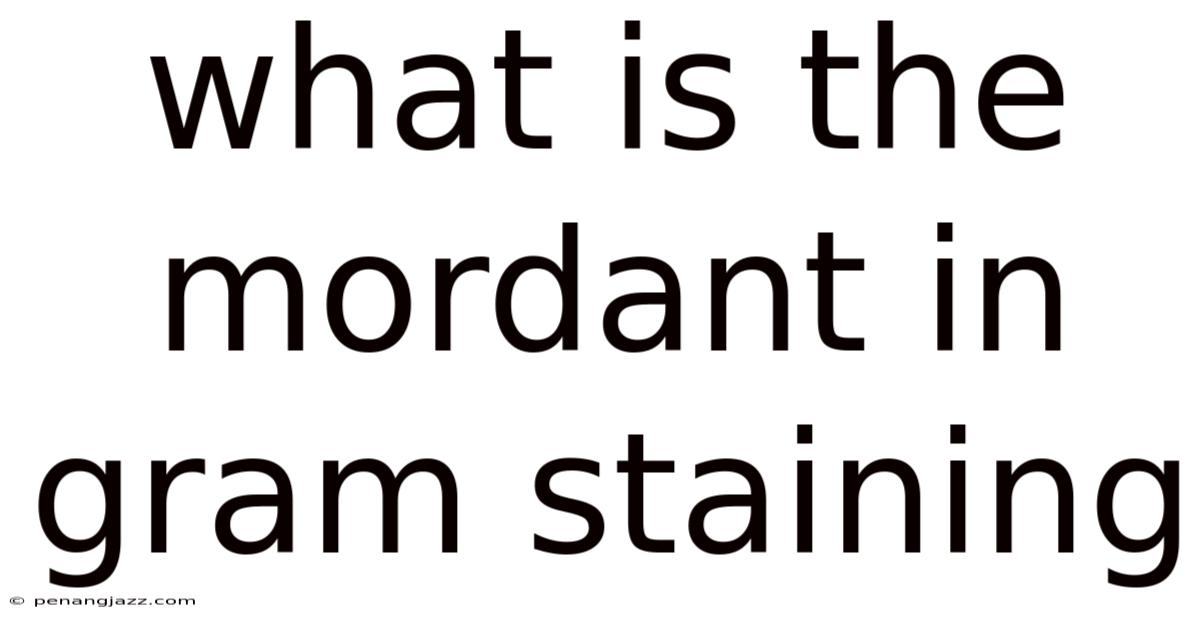 What Is The Mordant In Gram Staining