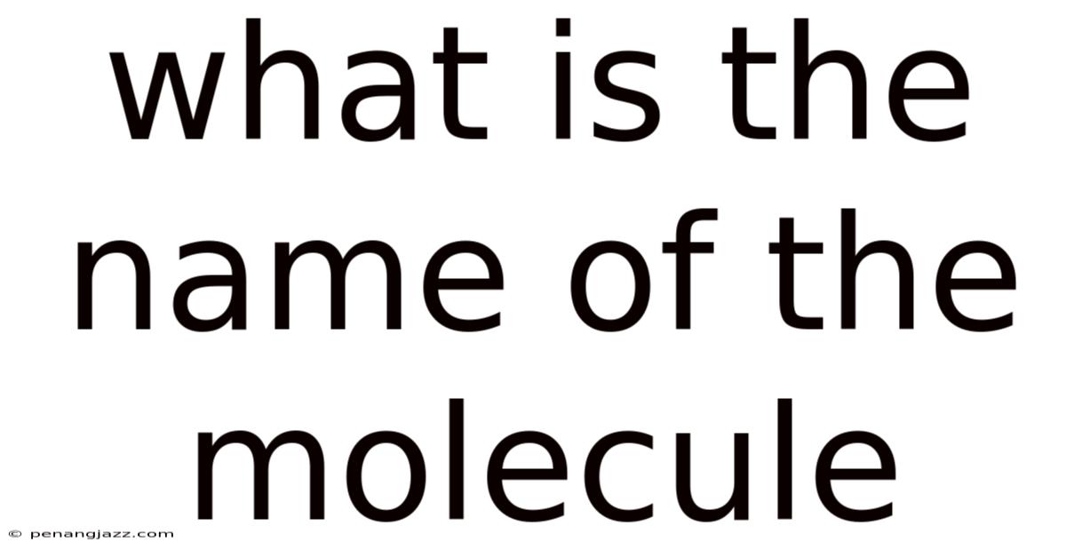 What Is The Name Of The Molecule