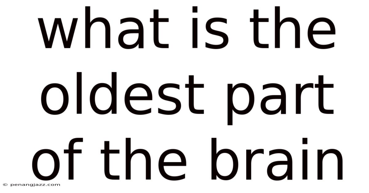 What Is The Oldest Part Of The Brain