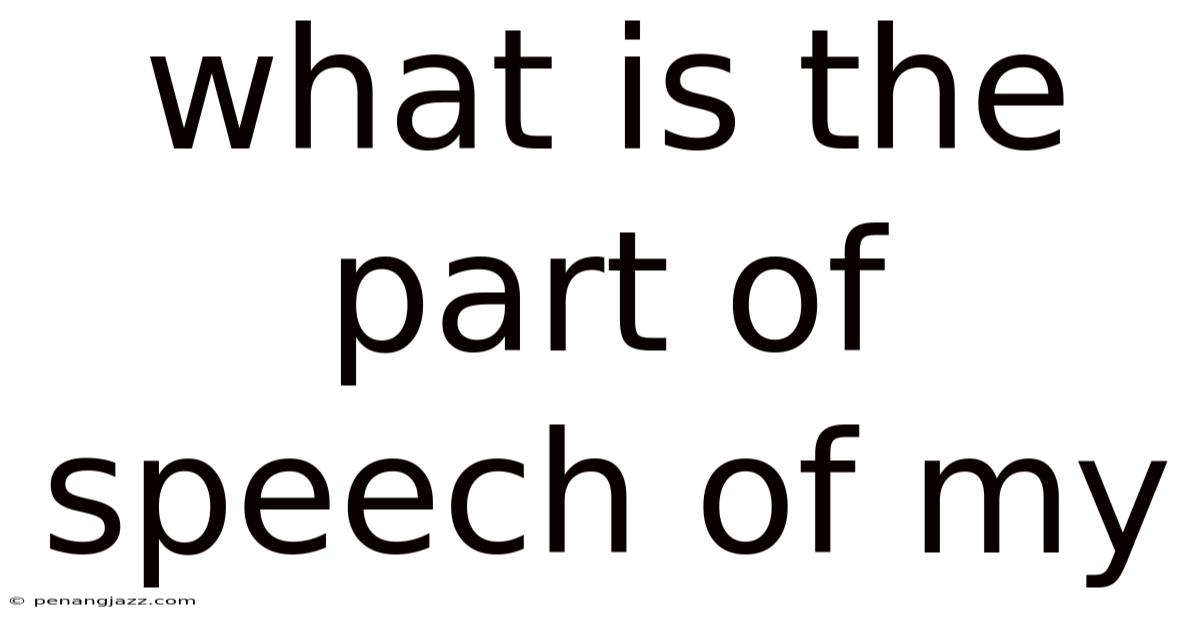 What Is The Part Of Speech Of My