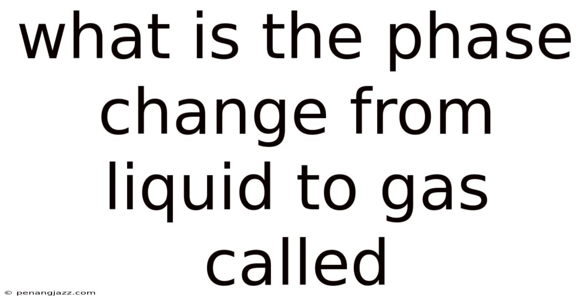 What Is The Phase Change From Liquid To Gas Called
