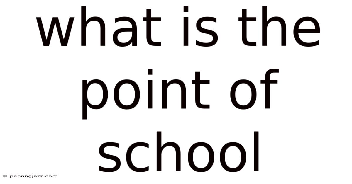 What Is The Point Of School