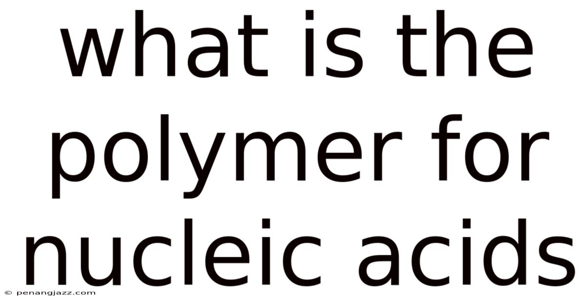 What Is The Polymer For Nucleic Acids