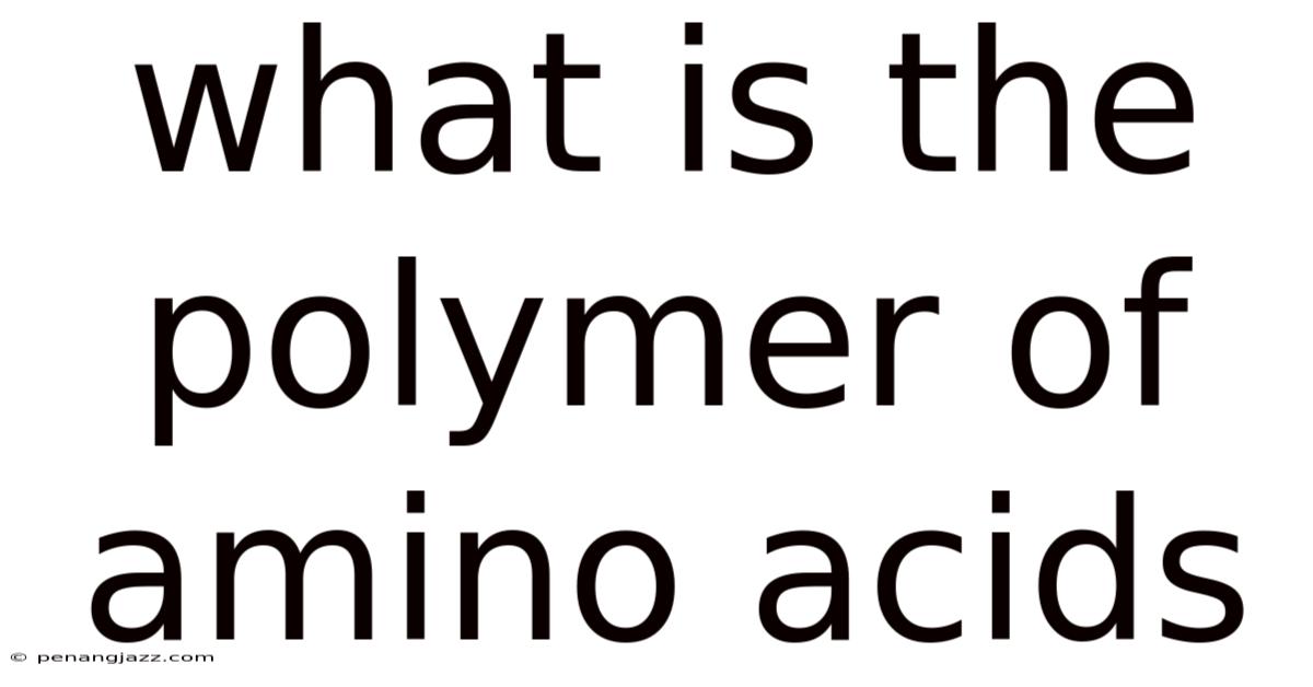 What Is The Polymer Of Amino Acids