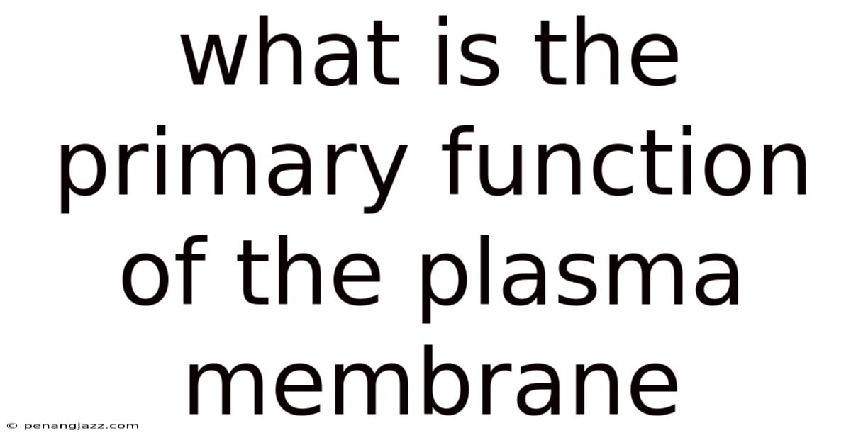 What Is The Primary Function Of The Plasma Membrane